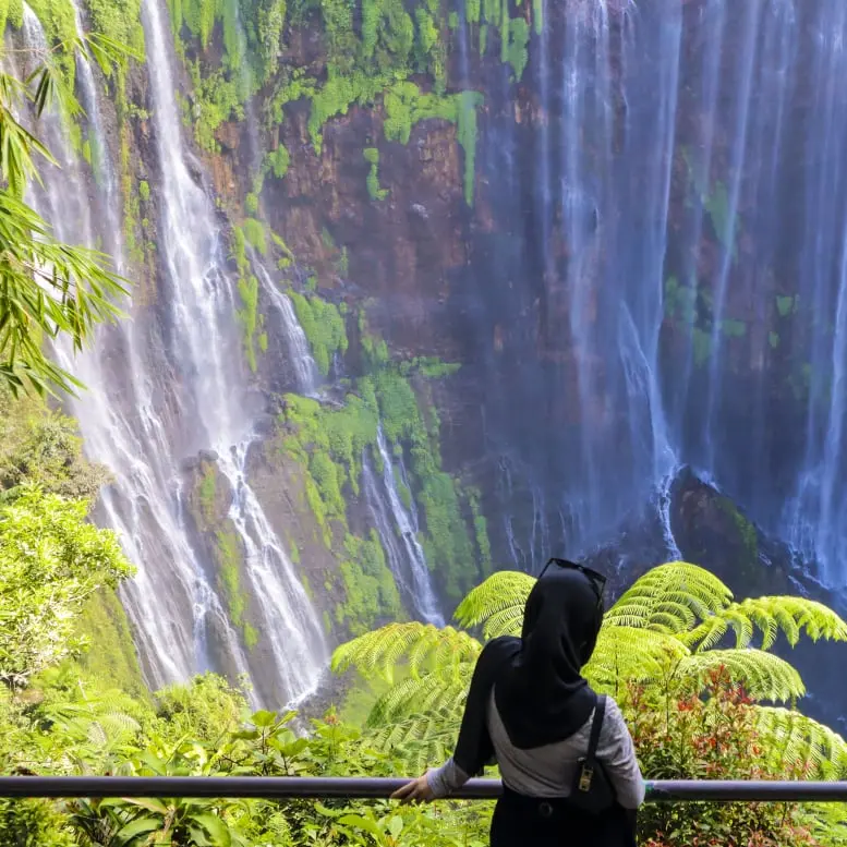 Paket Tour Bromo