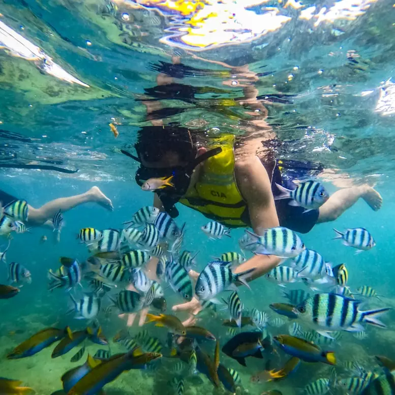 One Day Trip Pulau Pari