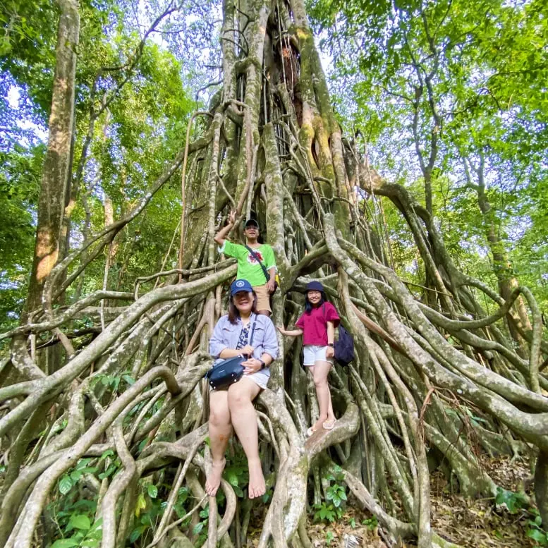 Paket Tour Pulau Peucang